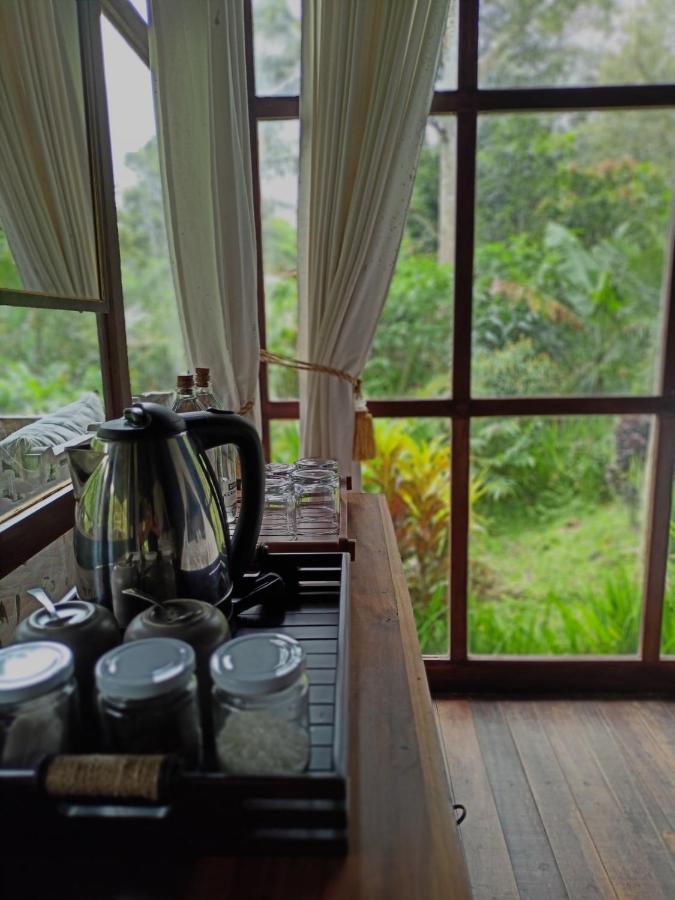 Kebun Kita Eco Lodge Padangan  Exteriér fotografie