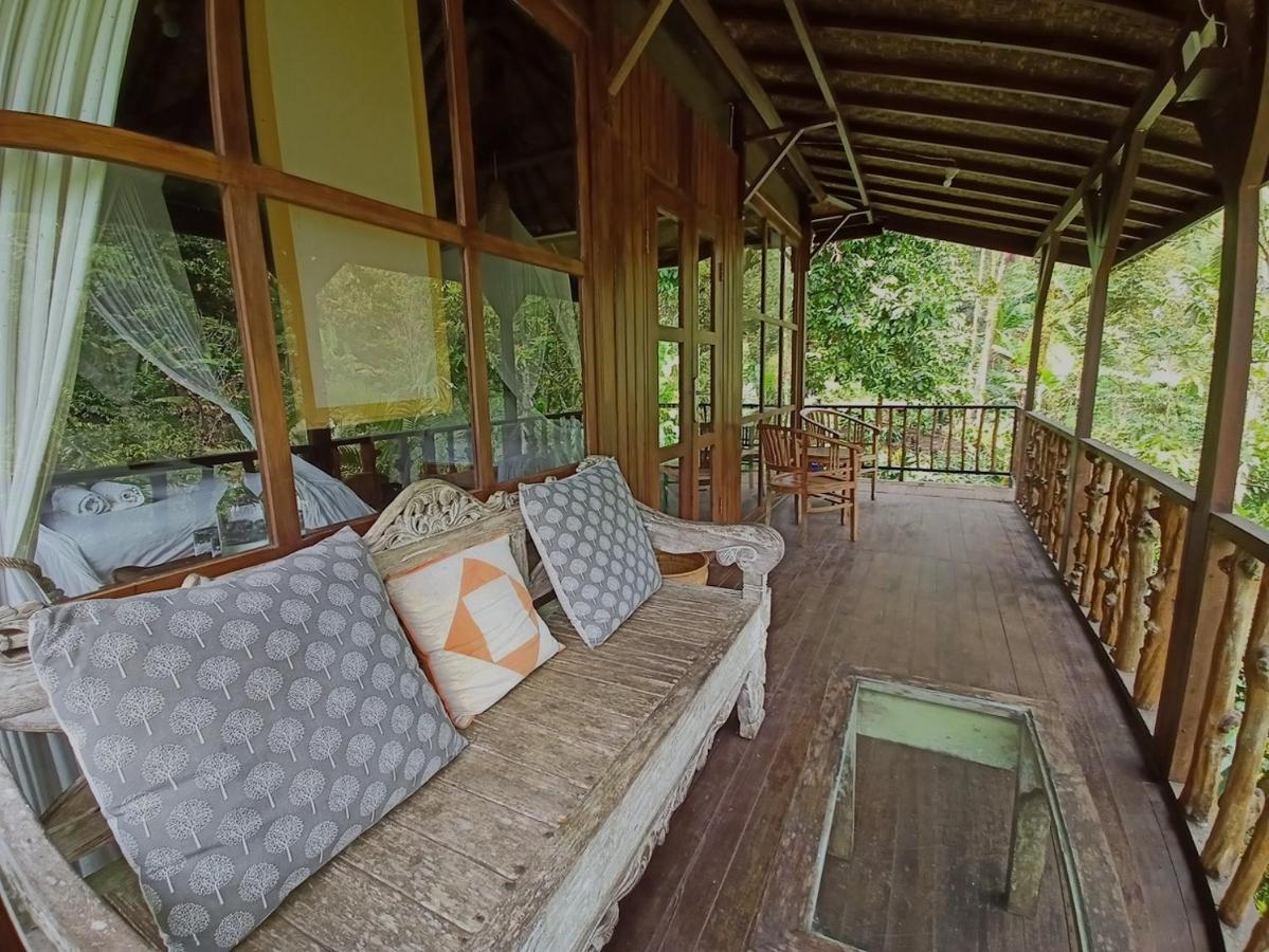 Kebun Kita Eco Lodge Padangan  Exteriér fotografie