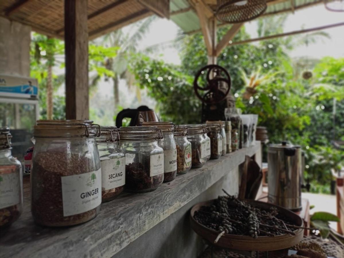 Kebun Kita Eco Lodge Padangan  Exteriér fotografie