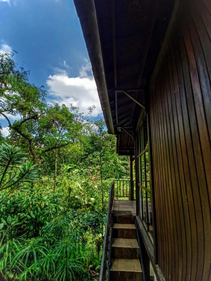 Kebun Kita Eco Lodge Padangan  Exteriér fotografie