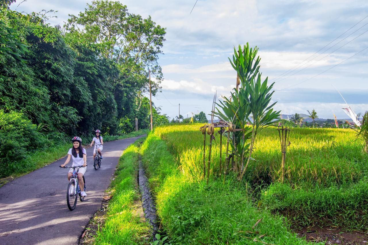 Kebun Kita Eco Lodge Padangan  Exteriér fotografie